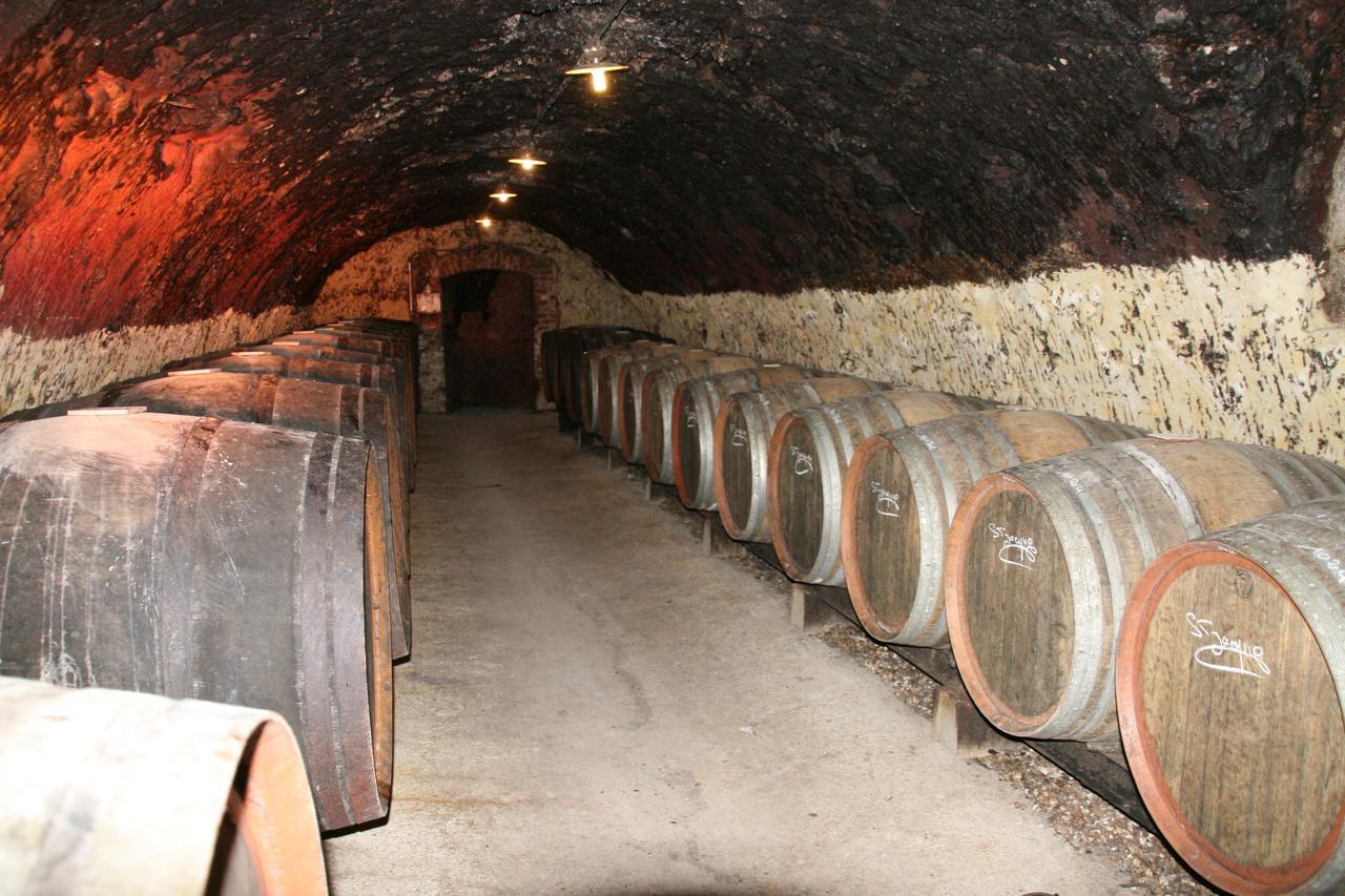 Chambres D'Hotes - Domaine Gigou La Chartre-sur-le-Loir Dış mekan fotoğraf